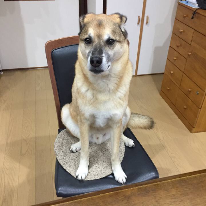 Afa606bf b0bb 42e1 9441 e2b412b33561 1550061111362