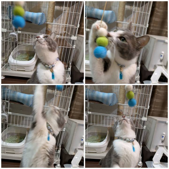 Afa68d87 0a3a 402b b513 f76595ec27fe 1733571618436