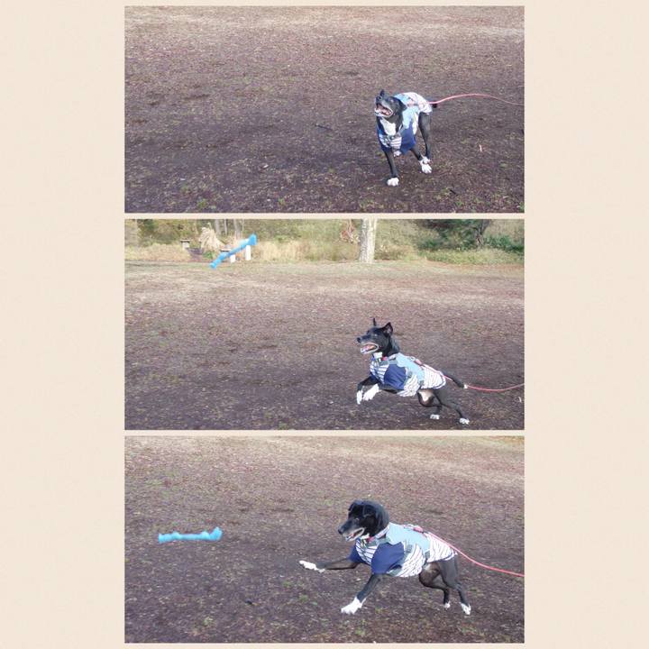 Afa6b1ac 87c3 499d 919c 2d92683eebb0 1705975585291