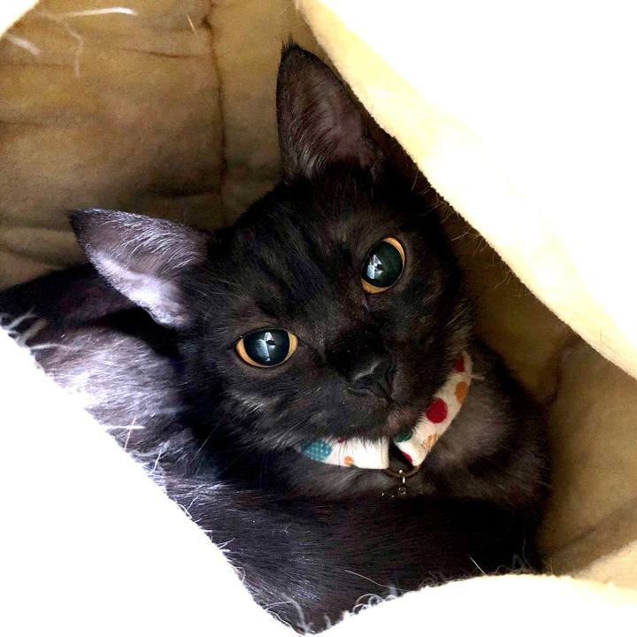 Afa6b405 2164 48b6 9c1f 1e3349f75db5 1635807455634