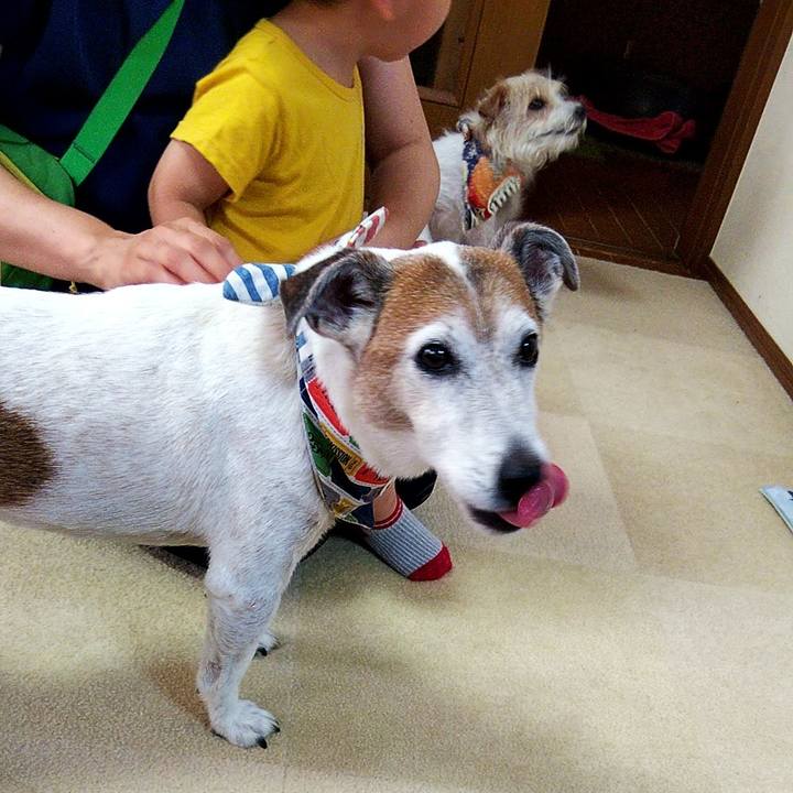 Afa6ba1e c6ac 4bbf bd34 858f2f730804 1563743228520