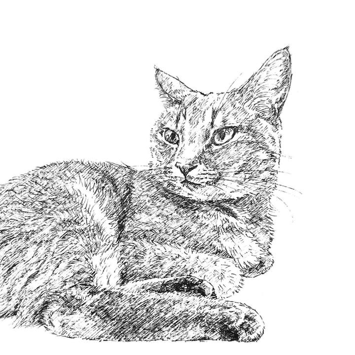 Afa6bc02 3f68 4193 af13 0af328318a0a 1597930897704