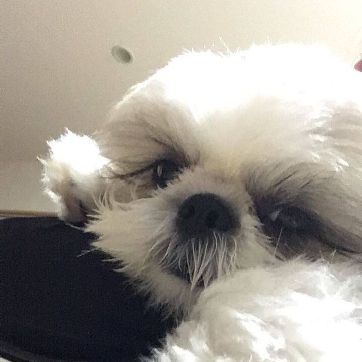 Afa6c51b 62d1 4766 bc89 baa1c8bade7e 1556749712871