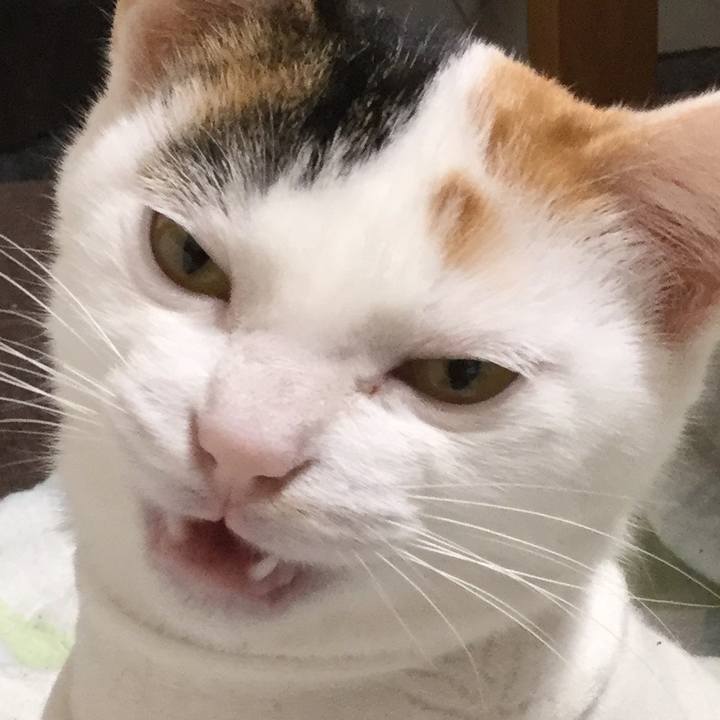 Afa70636 3af3 454f a680 366e0f1ce892 1547430511918