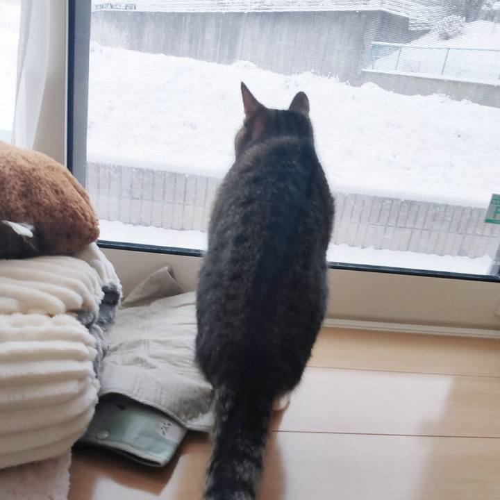 Afa73715 fe70 4513 96f9 da46410c3789 1671405728814