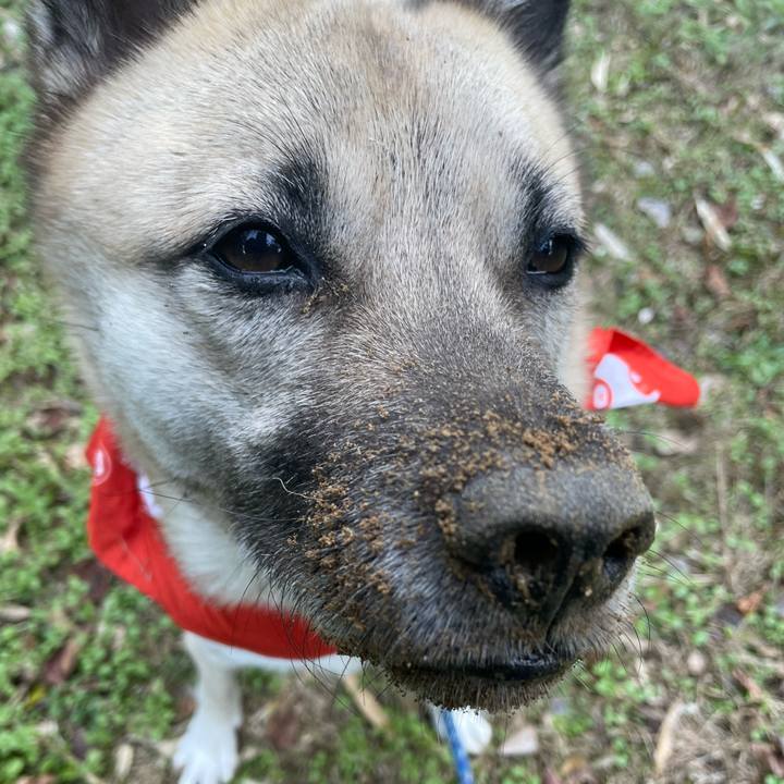 Afa74042 28c8 41bc bc0a 45257eef1795 1641213316674