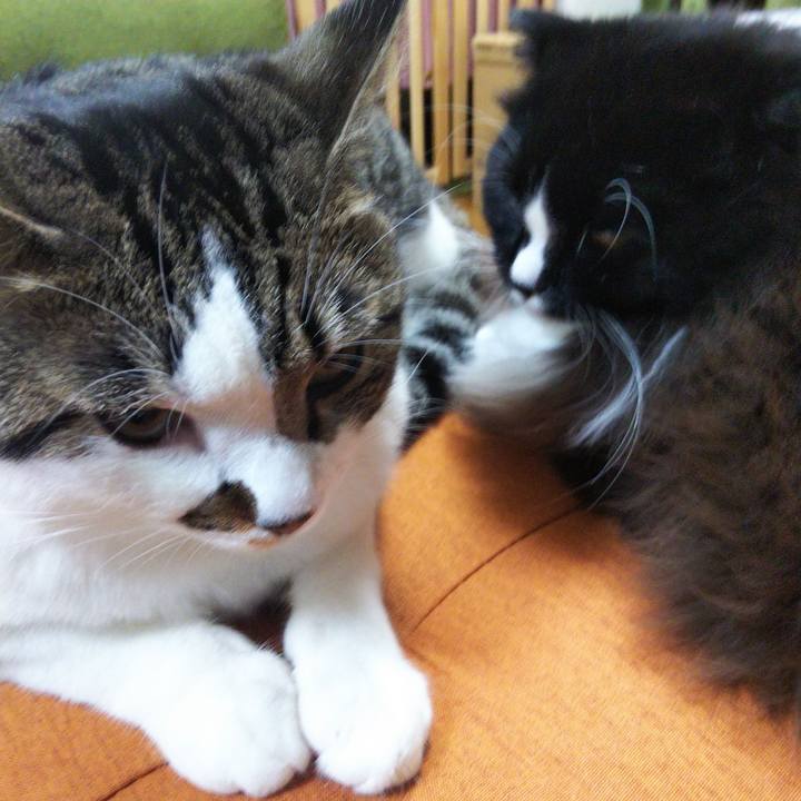 Afa74ddf 0426 41ba babb 5e788267ce07 1657354621627