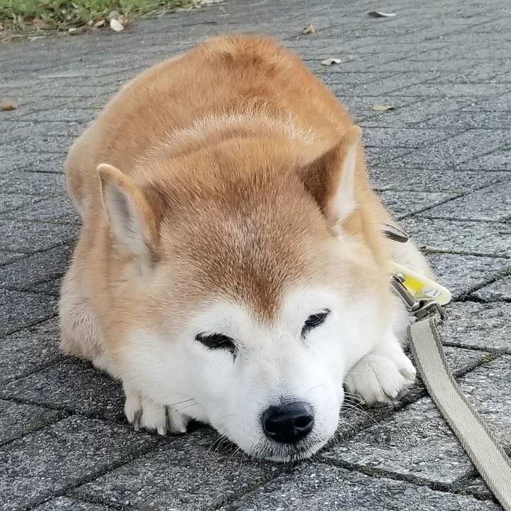 Afa75b67 542f 4e7e 993b 646c7010999f 1667196388000