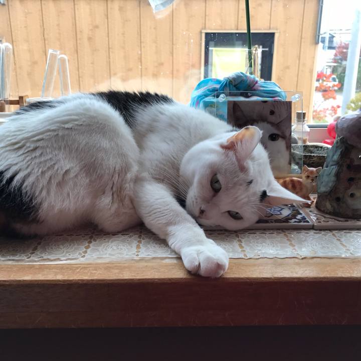 Afa766e9 02ba 463e b4b4 a839a6539a97 1634620207365