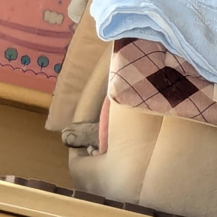 Afa77fea c960 412c a415 22bf2a40d2b1 1740820377770