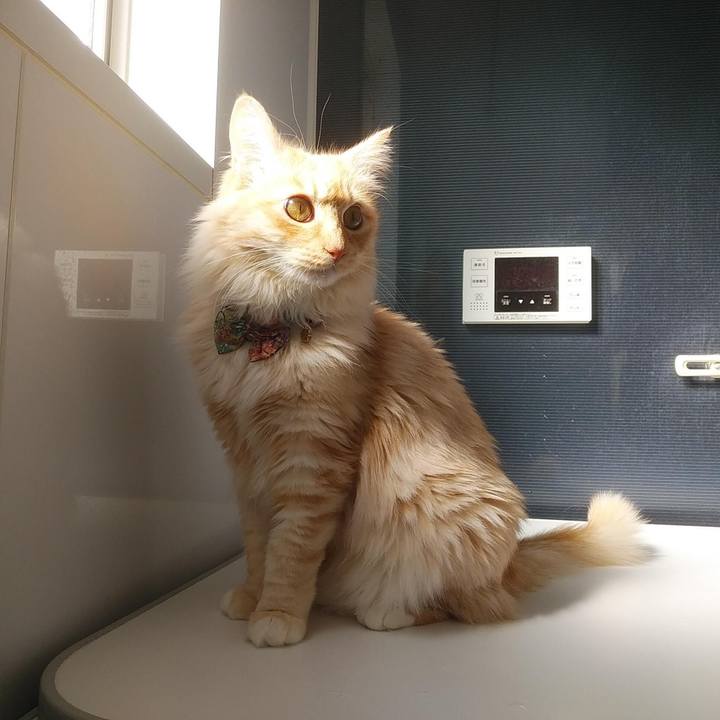 Afa7948b 298b 44aa bad3 e21df7e291de 1646475692611