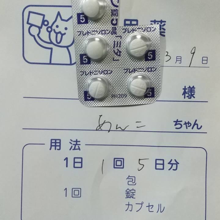 Afa7e1e9 2ddd 412c 9cf8 babb7fd1493f 1678364155272