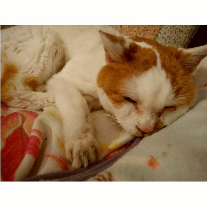 Afa7fcb2 1849 4de2 bfce f3af377238ca 1598271359609