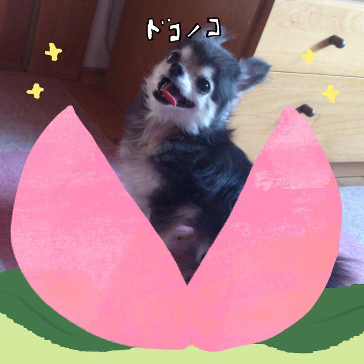 Afa829b0 6507 47b1 9993 e98d185e71e9 1772016726796