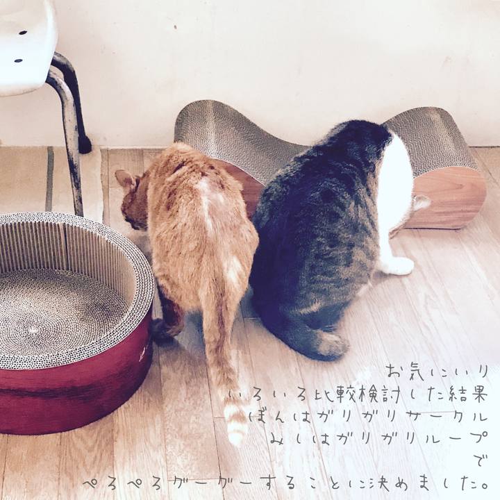 Afa8af63 8f79 4219 a3bf 3928c63ff1dc 1518399929845