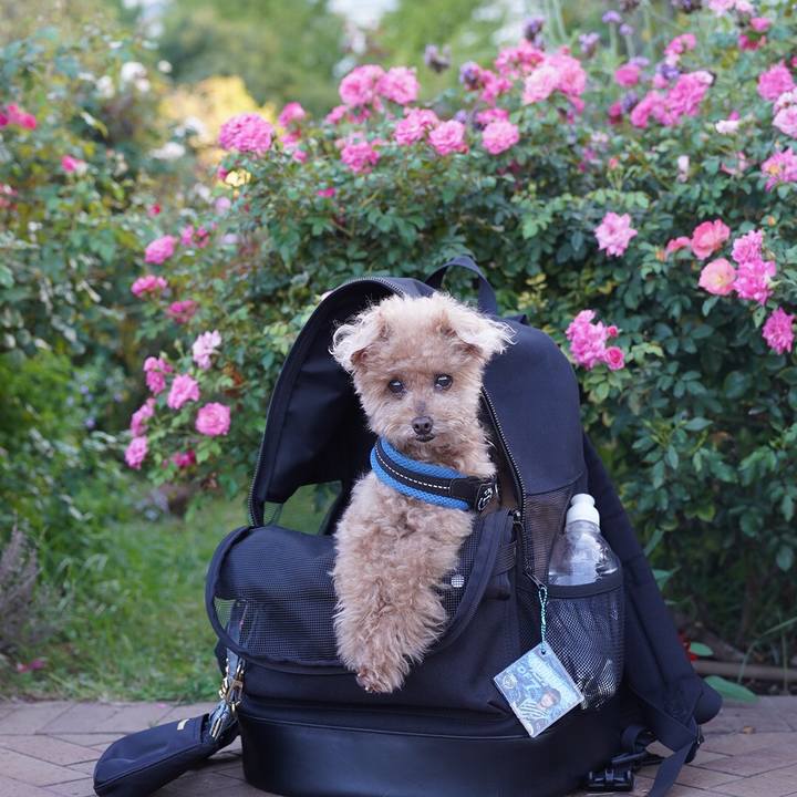 Afa92824 2051 4bfc a9d1 1258c22cece0 1696128224440