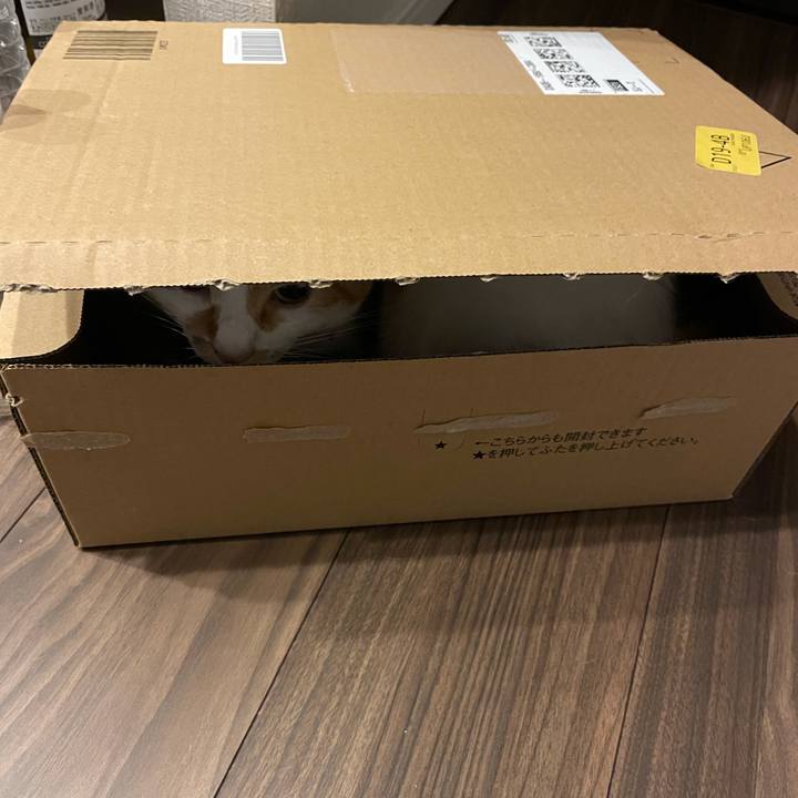 Afa945e2 8bd1 47a6 92e0 ff62709d2eda 1631442598594