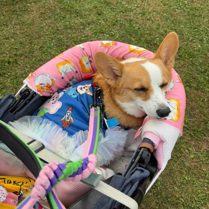 Afa96a01 1ae2 420e 8303 83f2589c42be 1760273154590