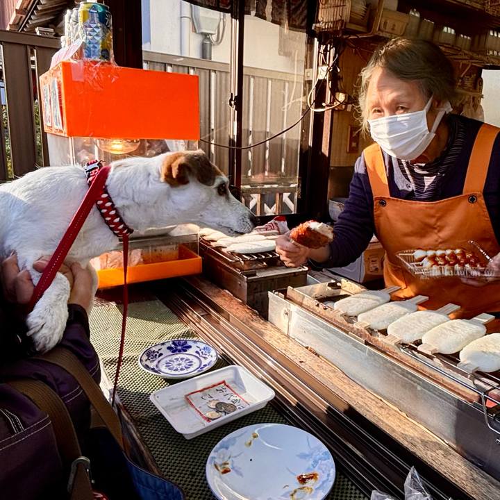 Afa983c4 d158 4754 b9c9 aee47e2928c3 1764068144022