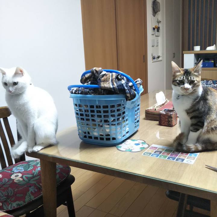 Afa9c42f e66a 4f0b 86a5 32a6b7cc269d 1643580361189