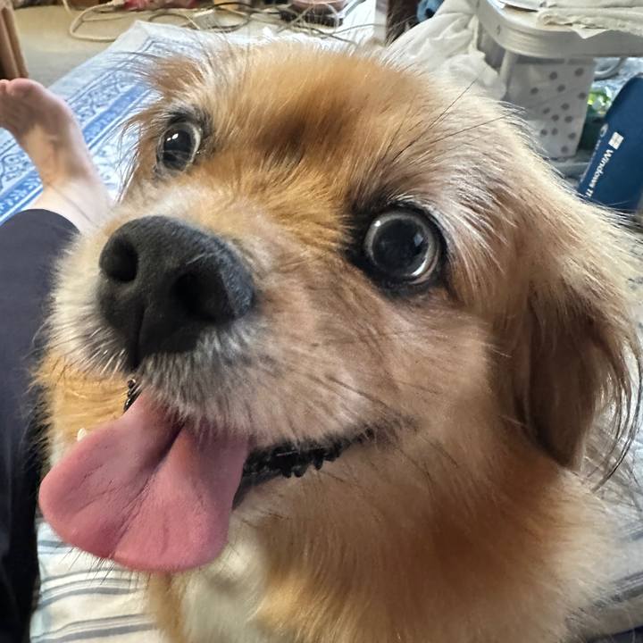 Afa9d9ef 93d1 4b7c 8255 bf578db40990 1750885980729