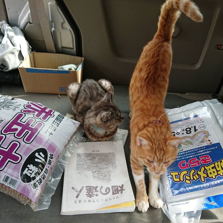 Afaa19de 66e9 4a6c aa51 bbb7990911b8 1566885133120