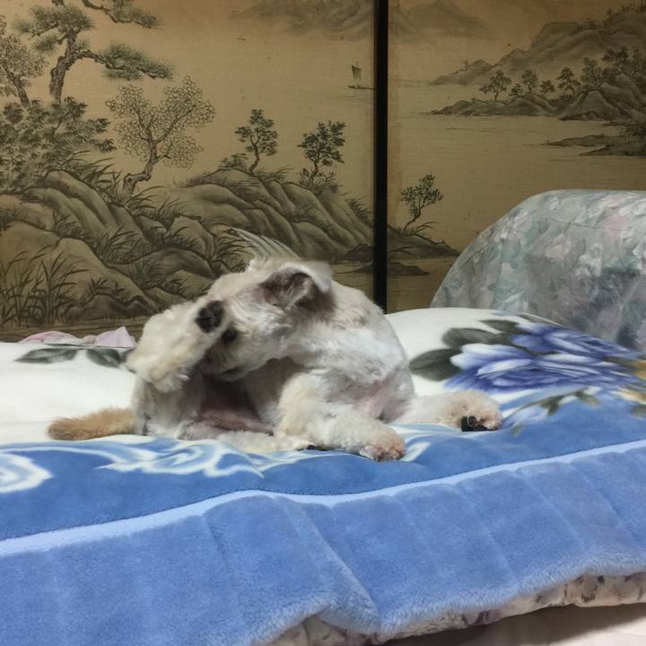 Afaa2a7e 5f11 410e 8db2 b80f337d59fa 1537627885645