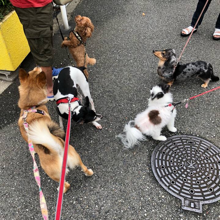 Afaa452c 3aa6 4ff4 a5ea d0281ad6b650 1563101086466