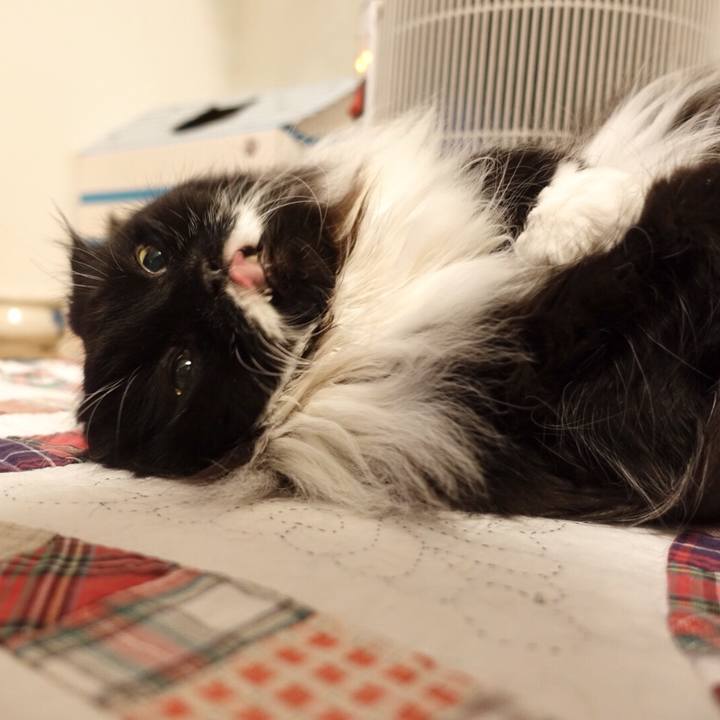 Afaa7b2d ad7a 4156 8dc7 eddfec5d249f 1546221142181