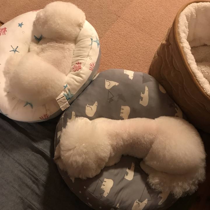 Afaaa123 c456 4619 bb35 b23296aa1238 1571397022656