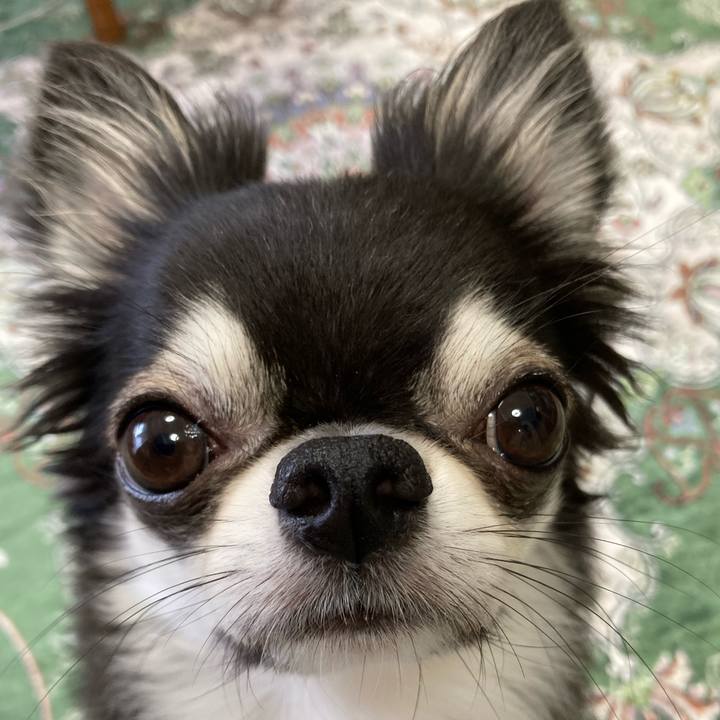 Afaab6c7 8e12 4c09 a54b dff8cba72f45 1658099702898