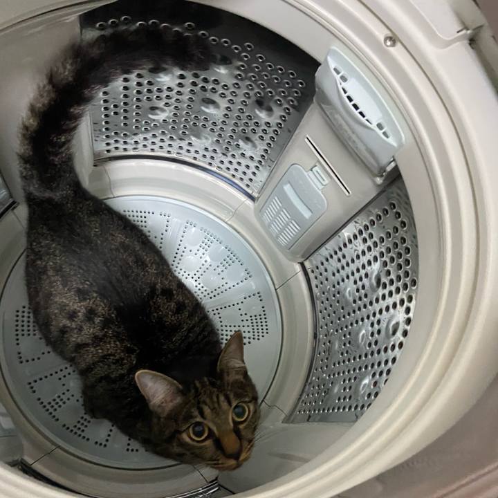 Afaac083 3704 47f2 bffb 3d72b2e42afd 1624194851467