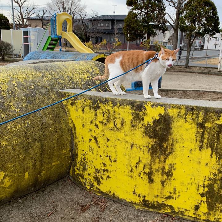 Afaaf211 c88f 4df4 a80d 2984847e1f95 1578829897315