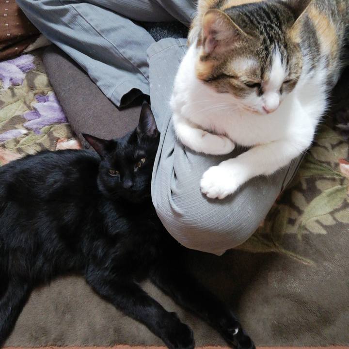 Afab1426 eab8 46de a607 8ebfe4b9511a 1616451549483