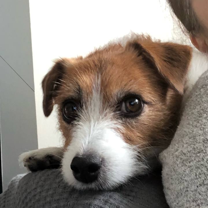 Afab249a 3a4f 4a6c b977 2b37bb13e15c 1588485227313