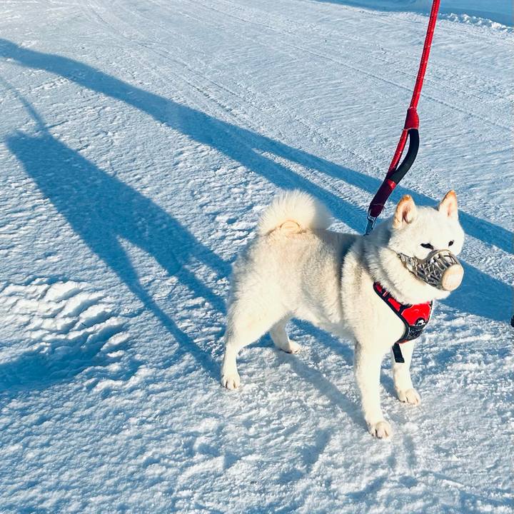 Afab302e fa94 4518 94e7 1f9db1147bb9 1709850980486