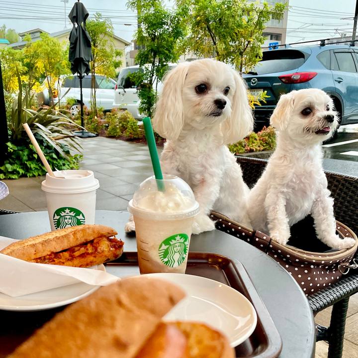 Afab54ad b2d5 4c4c be1c bd5bfba86a2e 1629020097276