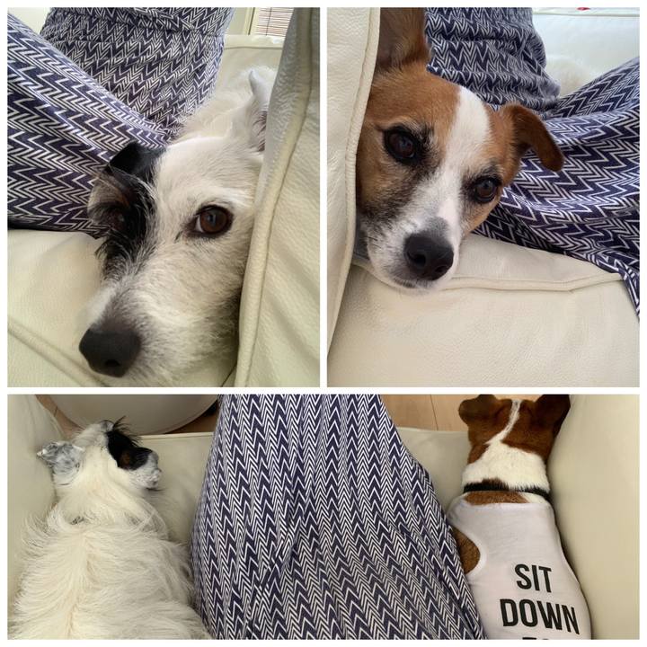 Afab6229 31b9 49cc 8da2 6e3c0365dd16 1565247133100