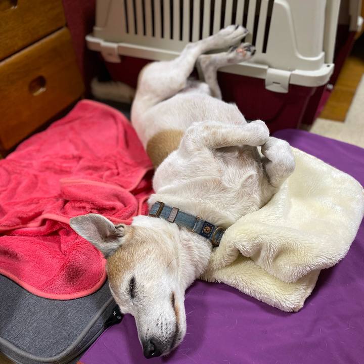 Afab737a acf3 43f8 9bea 663f53003c18 1657893728684