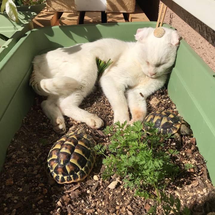 Afabc1dd 403a 4cbd 91ad d3cb90505803 1519953220312