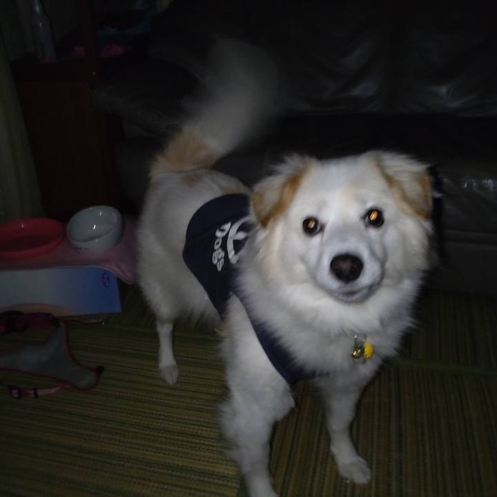 Afac2580 917a 4250 8aaf fe8e18998da5 1644949515519