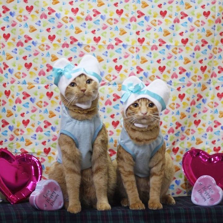 Afac7eac 318d 49a7 aef4 5e8cd2da8129 1707545341051