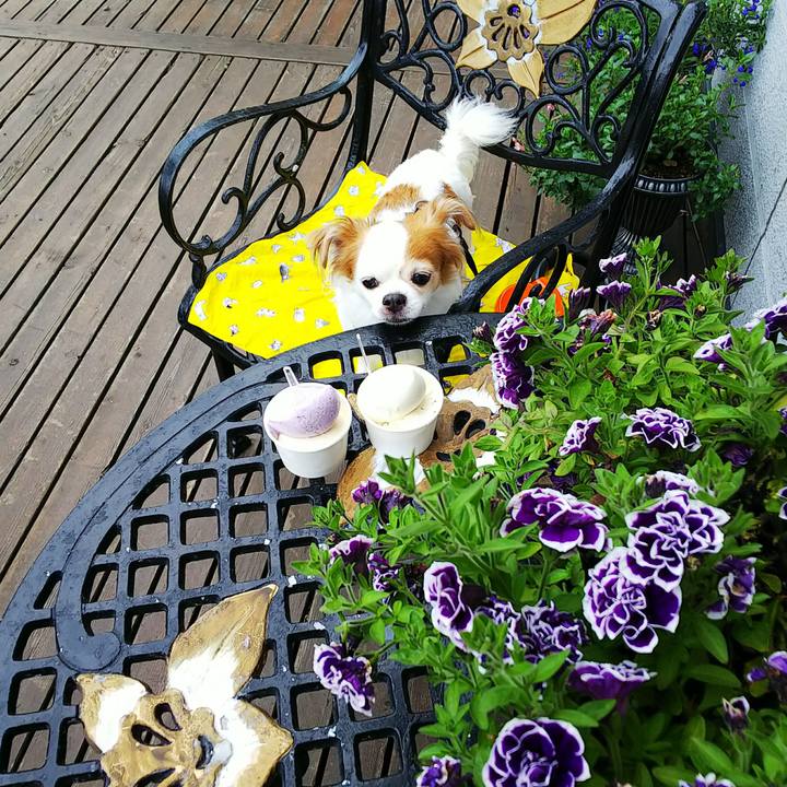 Afac9ce9 476b 44b7 a1b8 38004ddd1bb4 1530347128136