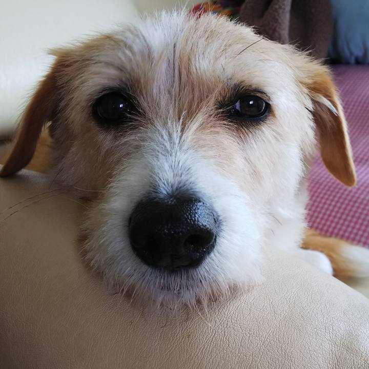 Afaca2ee 6bd4 495a a3bb f5c4952a6a41 1525396917627