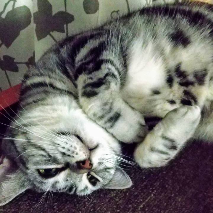 Afaca87b cb18 4ab5 9f23 a0e66214432d 1713695651029