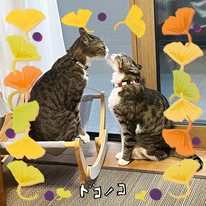 Afad04e9 c297 4b1d b1e4 8a267f6428b1 1729786276363