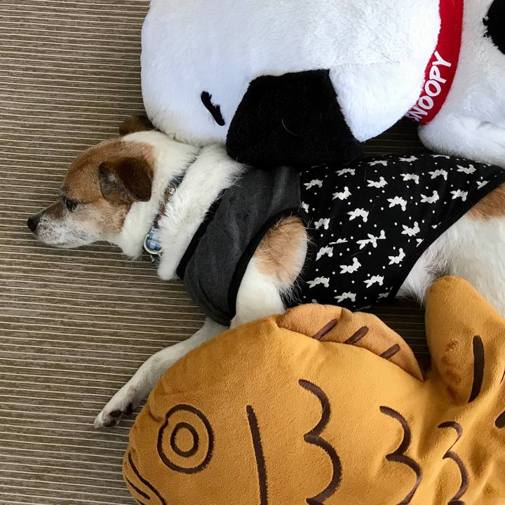 Afad0738 afbf 4362 a7c8 5ce09365797c 1591944322603