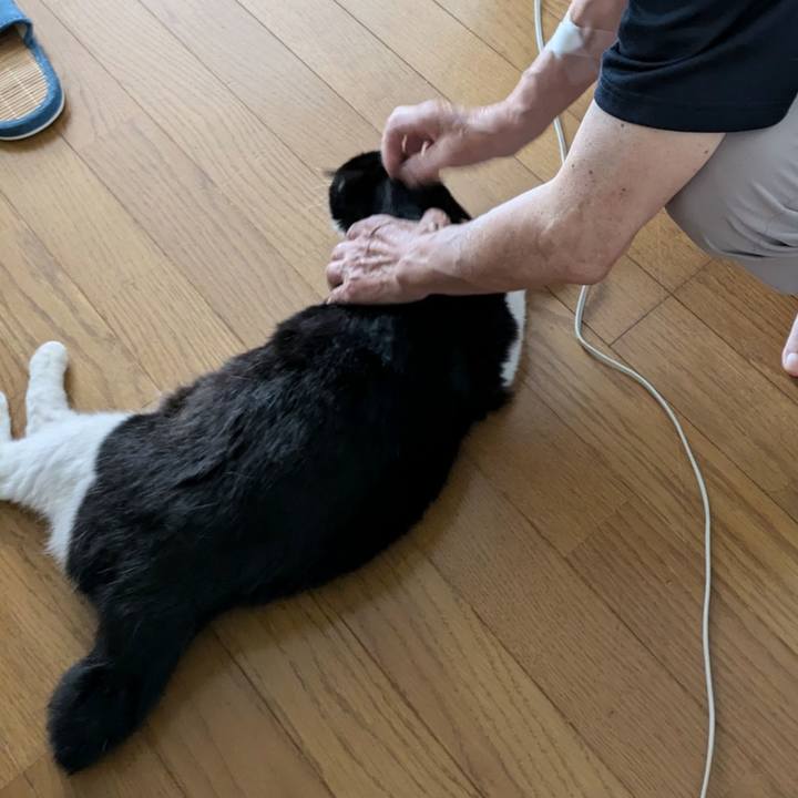 Afad5d2f 04be 4fa5 b7e4 327dcce8e4fb 1721189663870