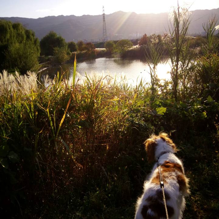 Afad652a 8a2c 4f1a 9a72 c08d5d42a436 1510834466964