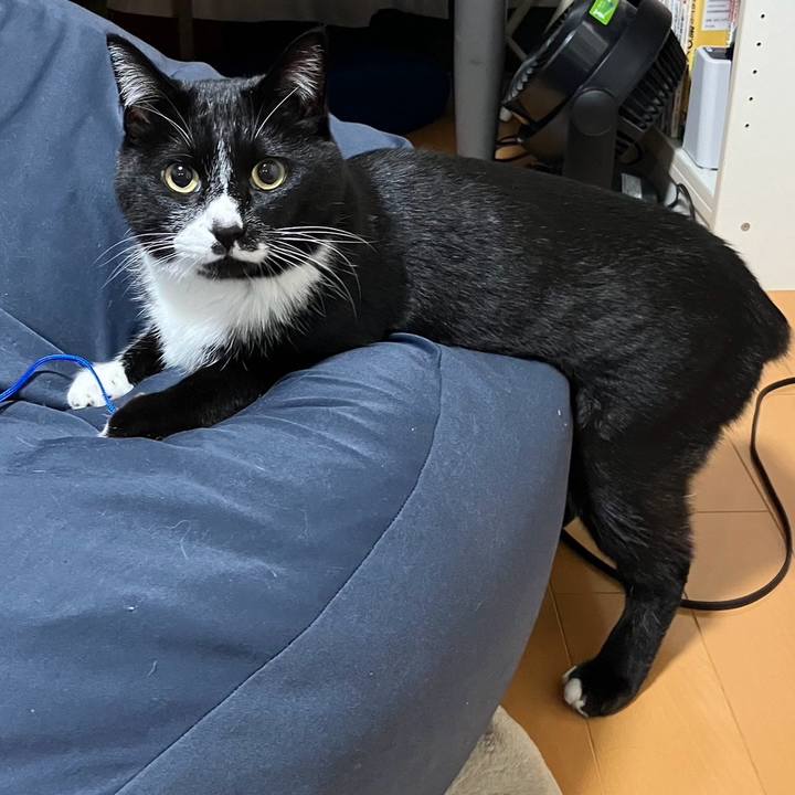 Afad6a70 a650 4ef3 b600 e8b6d0fd158e 1713411807077